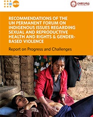 Recommendations of the UN Permanent Forum on Indigenous Issues Regarding Sexual and Reproductive Health and Rights & Gender-based Violence