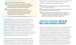 Note technique sur les approches transformatrices du genre dans…